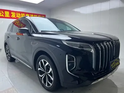 Hongqi Hongqi HS7 · 2023 год