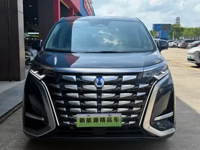 Denza Denza D9 2023, 29000 км, за 209800 CNY