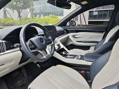 BYD PLUS New Energy 2022, 29000 км, за 75000 CNY