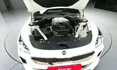 Kia Stinger 2019, 63453 км, за 18400000 KRW - фото 6