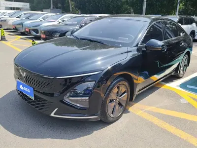 Wuling Xingguang · 2025 год