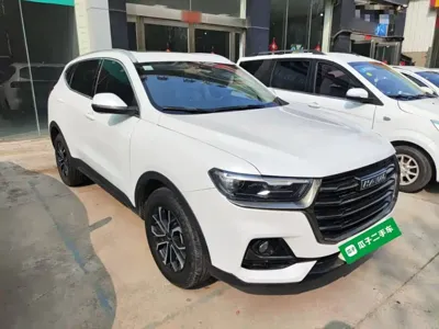 Haval H6 2021, 92300 км, за 52800 CNY - фото 22