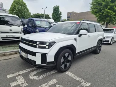 Hyundai Santafe · 2024 год