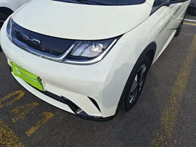 BYD Dolphin 2023, 38900 км, за 82479.21 CNY - фото 9