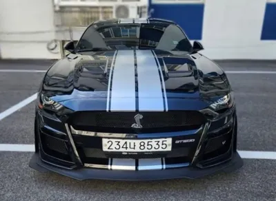 Ford Mustang · 2019 год