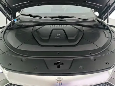 BYD PLUS New Energy 2023, 48000 км, за 79900 CNY - фото 10