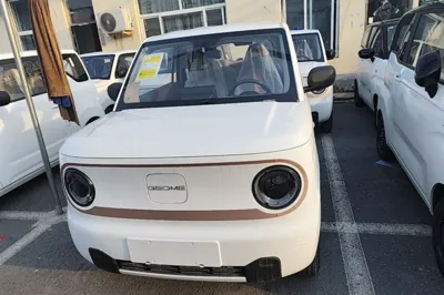 Geely Galaxy Panda 2024, 100 км, за 48360.75 CNY
