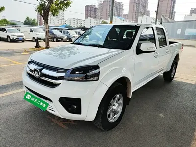 Great Wall Fengjun 5 · 2024 год