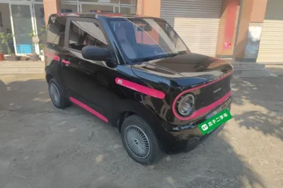 Geely Galaxy Panda 2023, 26000 км, за 40476.47 CNY - фото 3