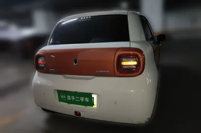 ORA Black Cat 2019, 82300 км, за 39727.33 CNY