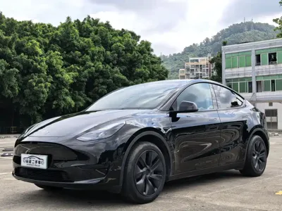 Tesla Model Y · 2023 год