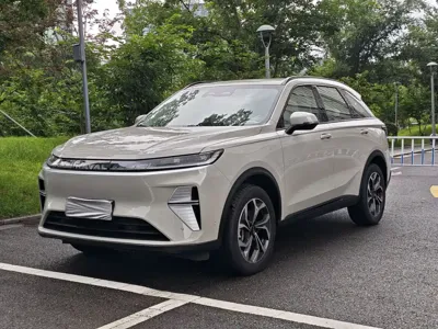 Haval Xiaolong Max · 2025 год