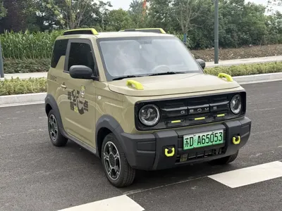 Galaxy Panda 2025, 1700 км, за 34500 CNY
