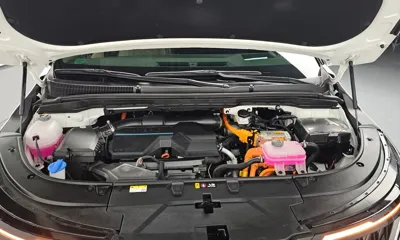 Kia Canival 2024, 15537 км, за 48700000 KRW - фото 6