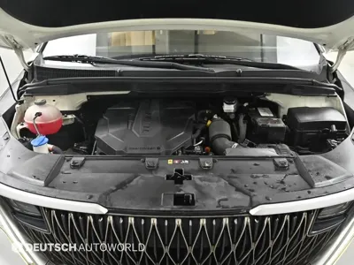 Kia Canival 2021, 103462 км, за 18900000 KRW - фото 6