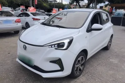 Changan Benni E-Star · 2020 год