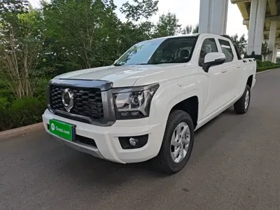 Great Wall King Kong Pao · 2026 год