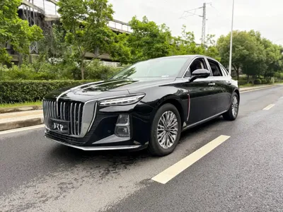 Hongqi Hongqi H5 · 2023 год