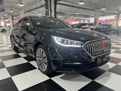 Hongqi Hongqi H5 2022, 50000 км, за 58800 CNY
