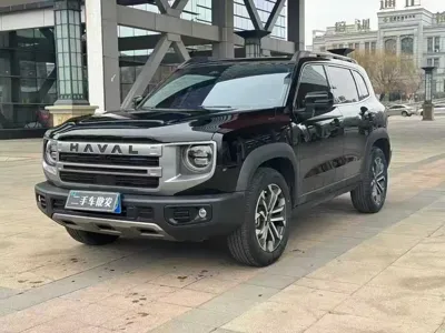 Haval Big Dog · 2024 год