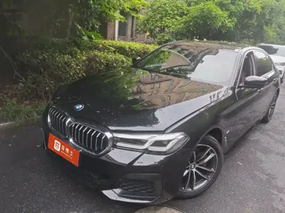BMW 5 Series · 2021 год