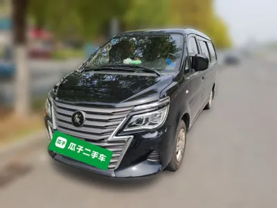 Forthing Lingzhi · 2023 год