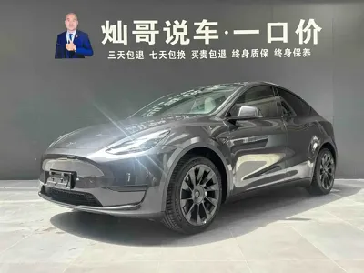 Tesla Model Y · 2024 год