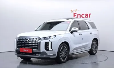 Hyundai Palisade · 2024 год
