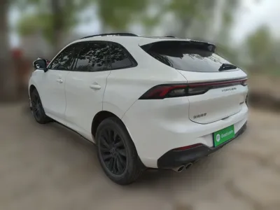 Forthing T5 EVO 2021, 46800 км, за 58832.32 CNY - фото 4