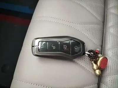 BYD Tang New Energy 2024, 30099 км, за 126500 CNY - фото 9