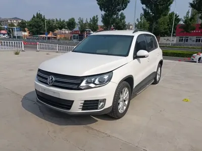Volkswagen Tiguan · 2017 год