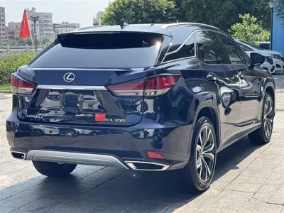 Lexus RX 2022, 110000 км, за 209800 CNY - фото 6