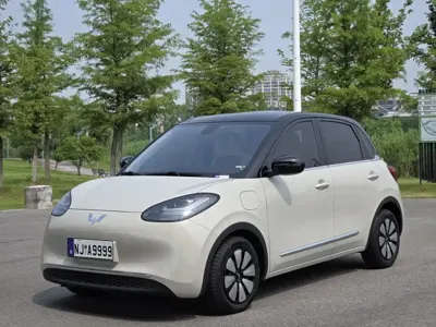 Wuling Bingo · 2024 год