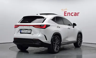 Lexus NX 2023, 109855 км, за 47980000 KRW