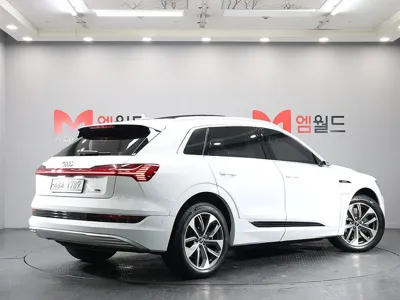 Audi e-tron 2022, 72300 км, за 45900000 KRW