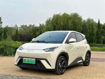 BYD Seagull 2024, 30000 км, за 46000 CNY - фото 1