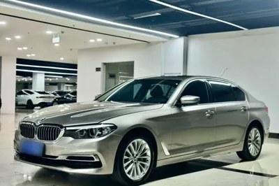 BMW 5 Series · 2019 год