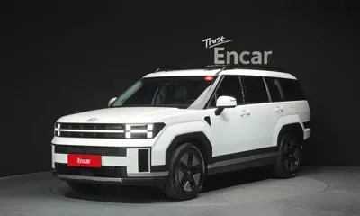 Hyundai Santafe · 2024 год
