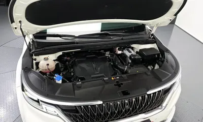 Kia Canival 2021, 25724 км, за 35800000 KRW - фото 6