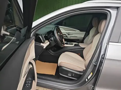 BYD Pro New Energy 2024, 45500 км, за 67800 CNY - фото 16