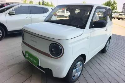 Geely Galaxy Panda · 2024 год