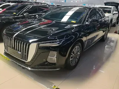 Hongqi Hongqi H5 · 2024 год