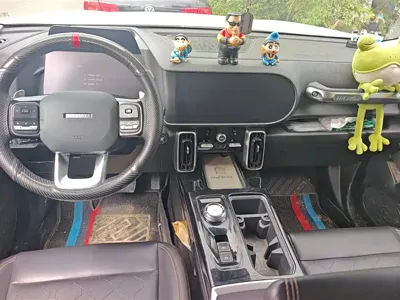 Haval Big Dog 2022, 47400 км, за 72000 CNY - фото 11
