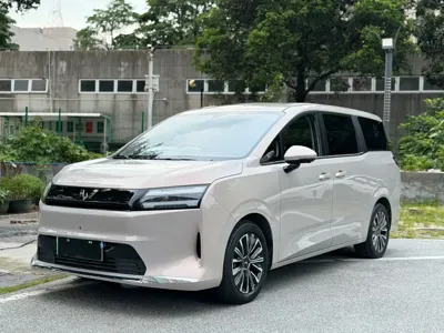 Wuling 星光730新能源 · 2025 год