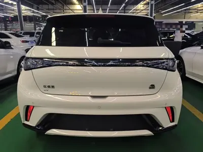 BYD Dolphin 2023, 29500 км, за 61600 CNY - фото 6