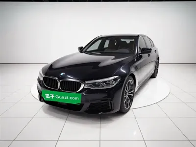 BMW 5 Series · 2020 год