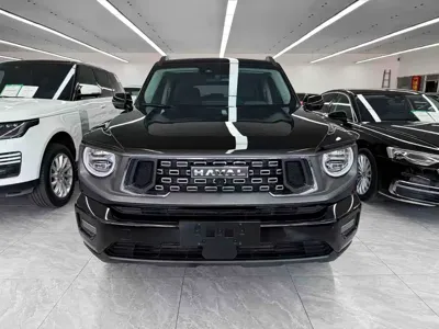 Haval 哈弗大狗 PLUS 2024, 85500 км, за 85500 CNY - фото 2