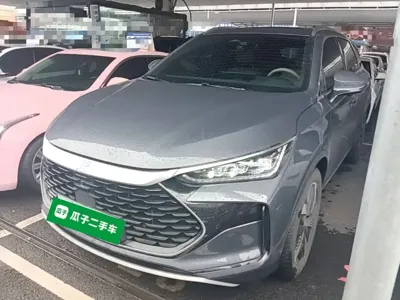 BYD Tang New Energy · 2024 год