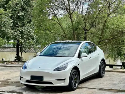 Tesla Model Y · 2023 год