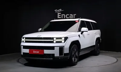 Hyundai Santafe · 2024 год